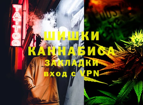 сатива Вяземский