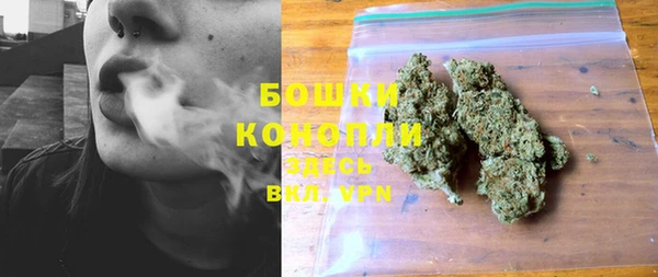 стафф Вязьма