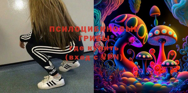 сатива Вяземский