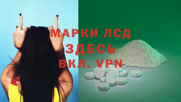 сатива Вяземский