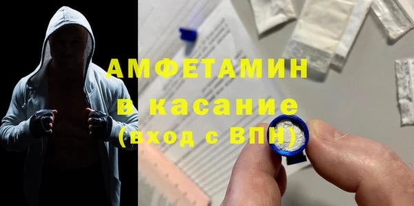 сатива Вяземский