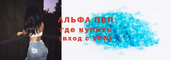 сатива Вяземский