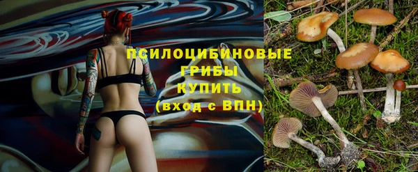 сатива Вяземский