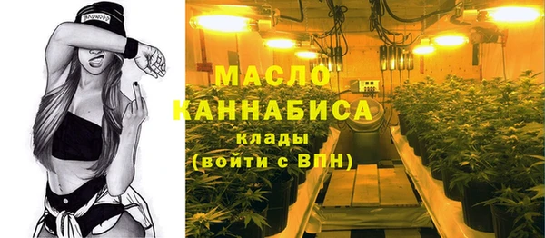 сатива Вяземский