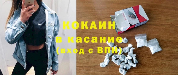 стафф Вязьма