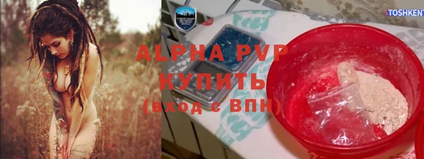 стафф Вязьма